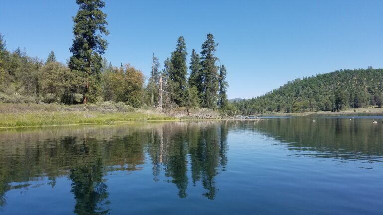 Water Pollution in the Sacramento River, and What is Being Done About It.