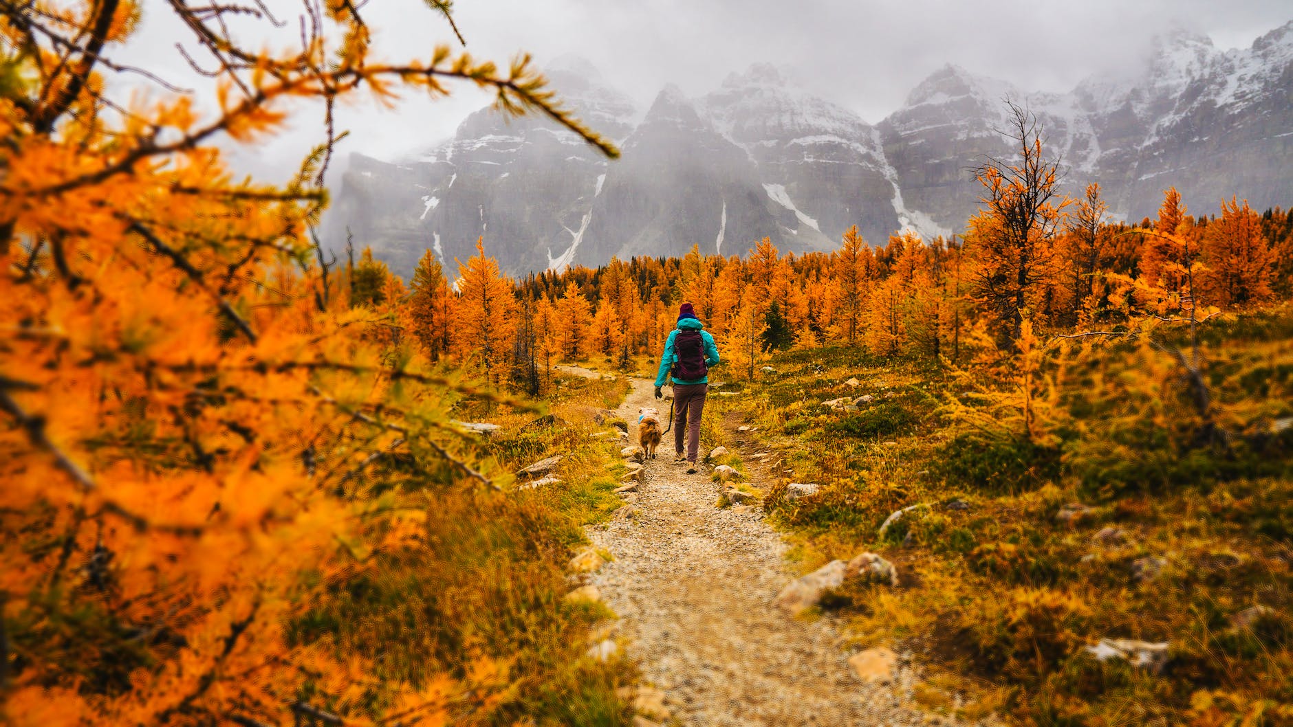 person walking on path