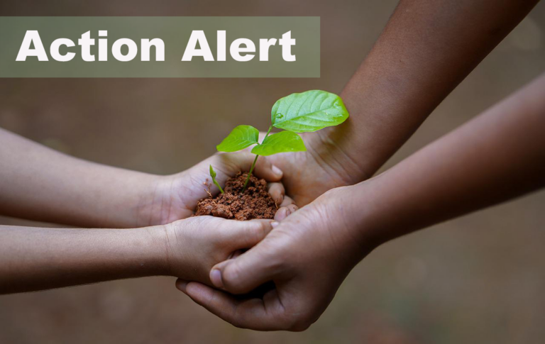 Have Your Say: Shape the Future of Redding’s Environment!