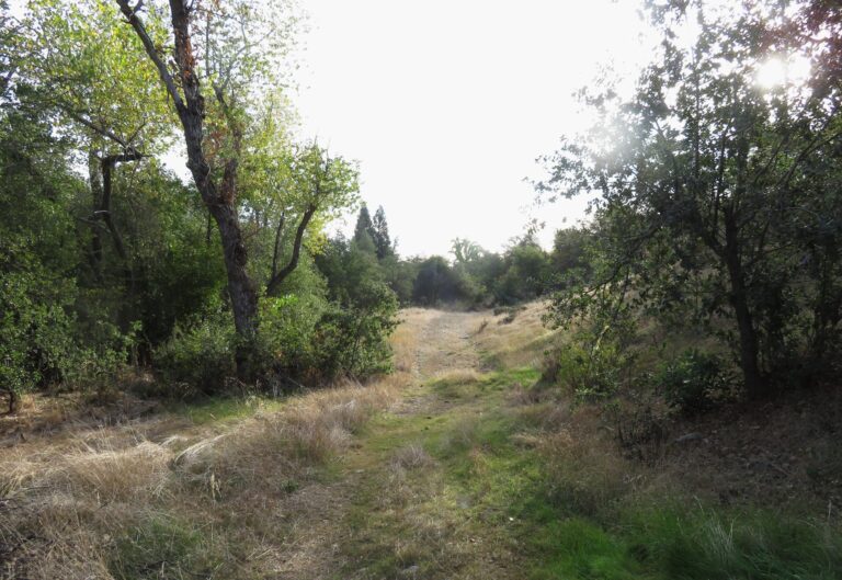 Establishing the Jenny Creek Trail
