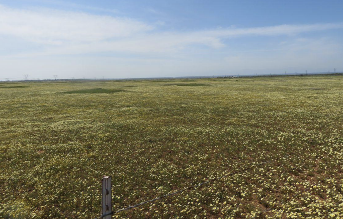 Millville Plains Gun Range Passes with a 3 to 1 Vote