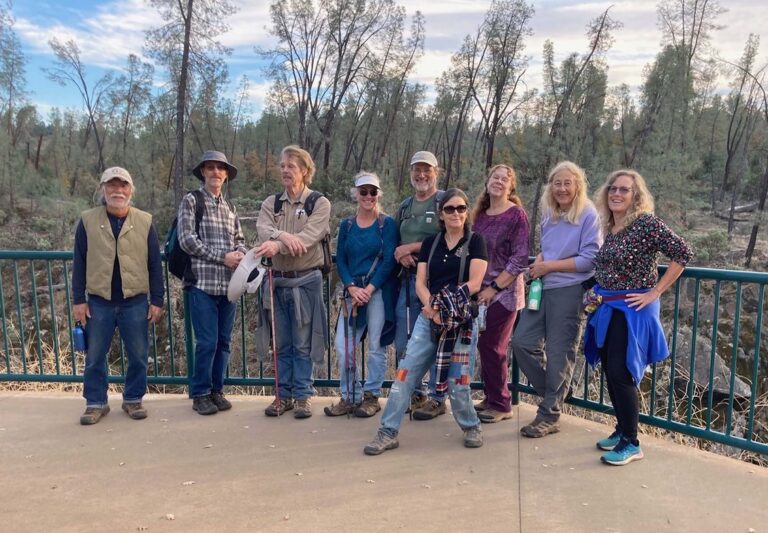 Trip Report: Clear Creek Greenway Field Trip (November 2023)