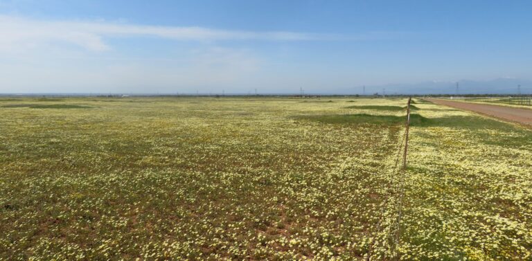 No Gun Range: High Plains Shooting Range