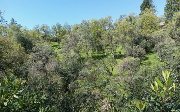 Jenny Creek Group Opposes Paved Trail