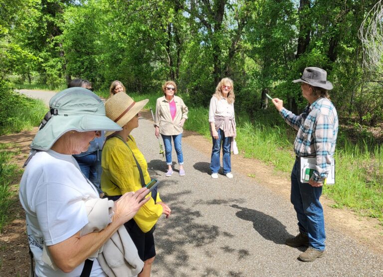 Trip Report: McConnell Arboretum Walk (April 2024)