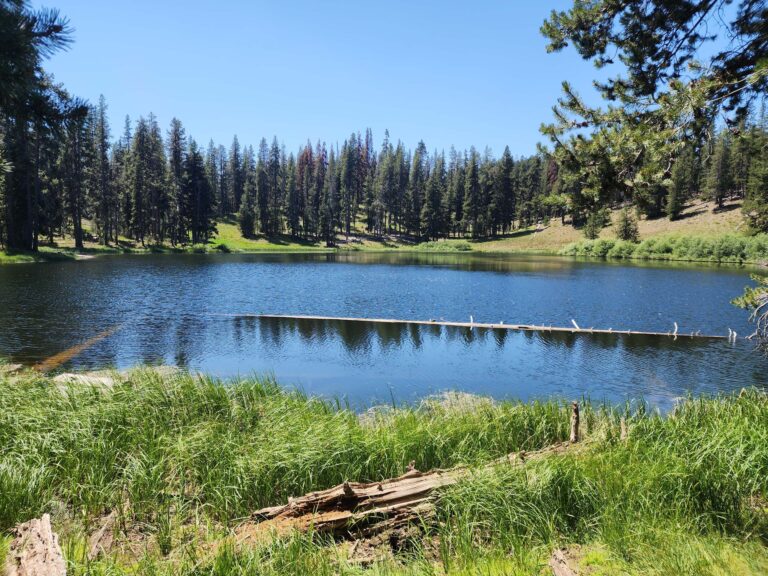 Protecting the Medicine Lake Highlands (August 2024)