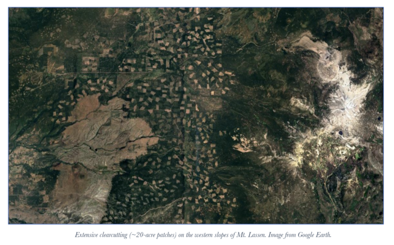 A Gaping Hole in California’s Climate Action Framework: Big Timber