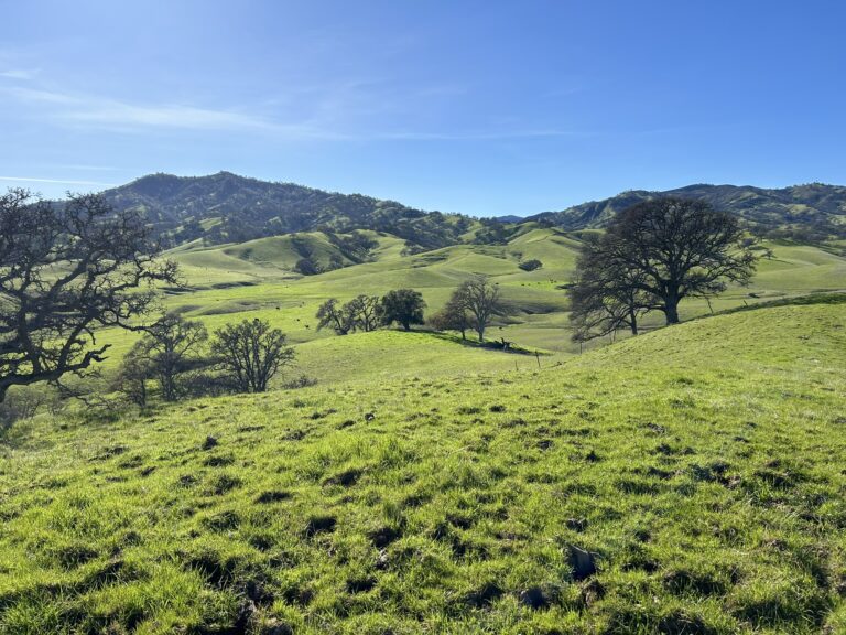Rangeland Monitoring Network Talk Recap (November 2024)