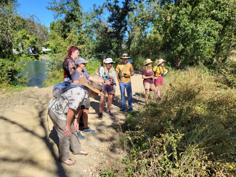 Trip Report: BioBlitz at Nur Pon (Sept 2024)