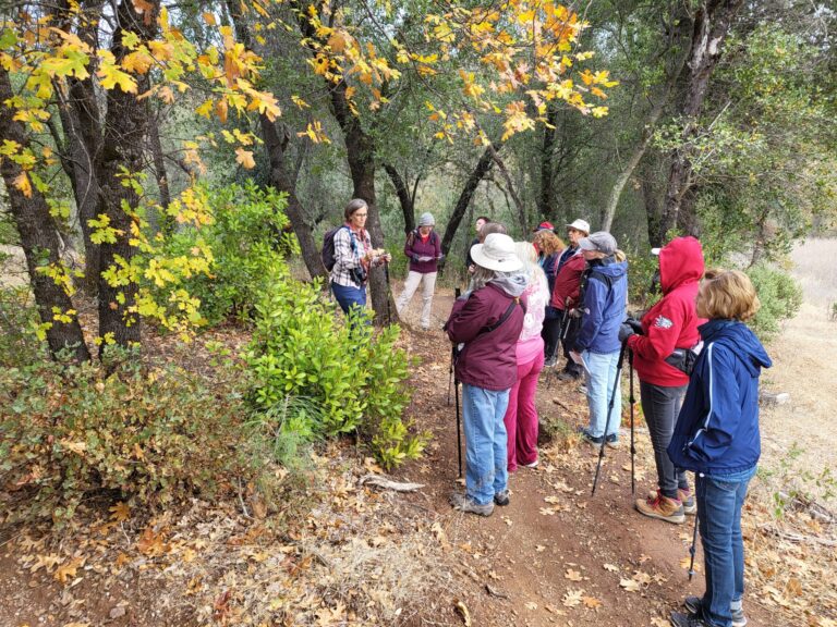 Trip Report: Sloppy Joe Trail Hike