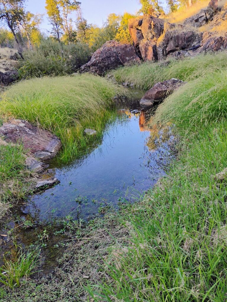 Trip Report: Quartz Hill Road Development Walk