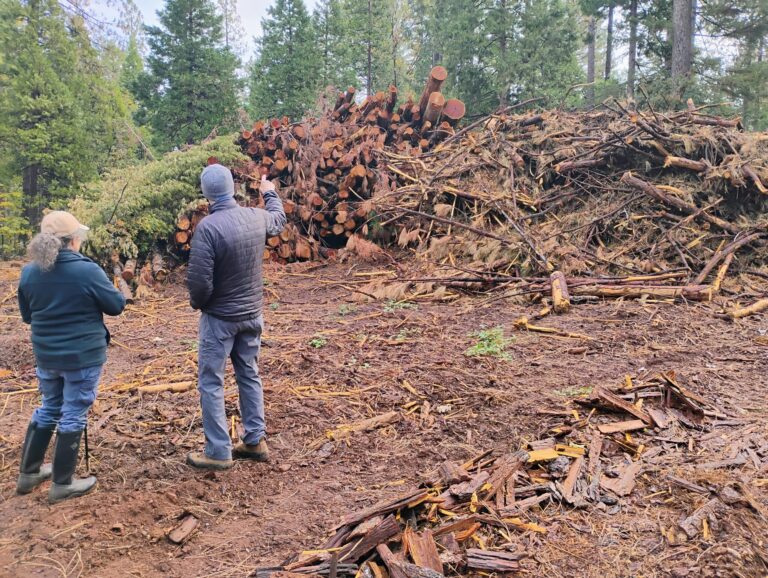 Burning Logging Slash in the Shingletown Area