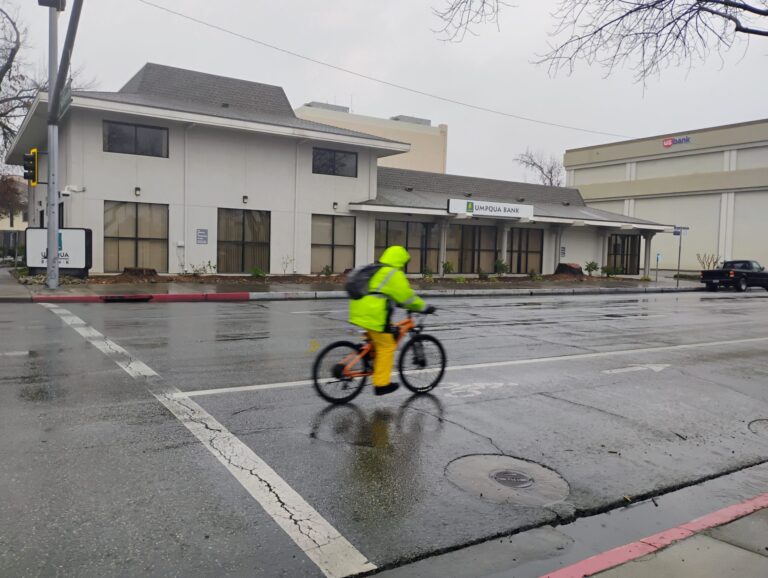 Where is Redding’s New Tree Ordinance? (January 2025)