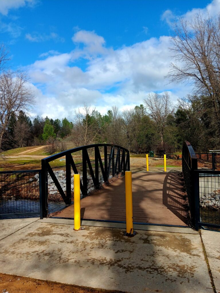 Trip Report: Battle Creek Field Trip – In-Depth Plant Characteristics (February 2025)