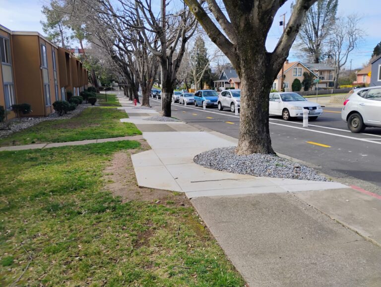 Redding Loses Street Trees on Liberty Street