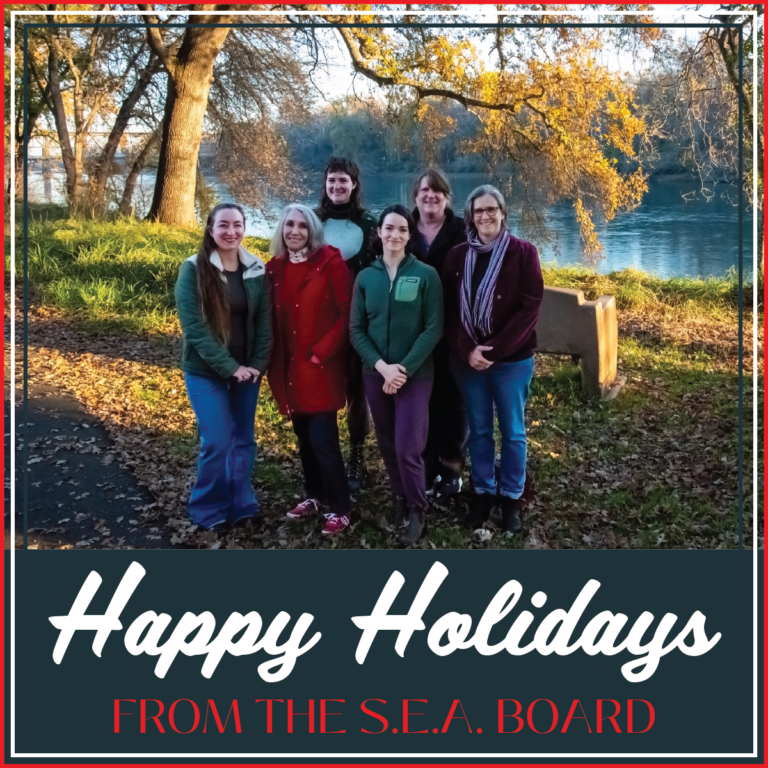 2025: A Year of Stewardship and Gratitude