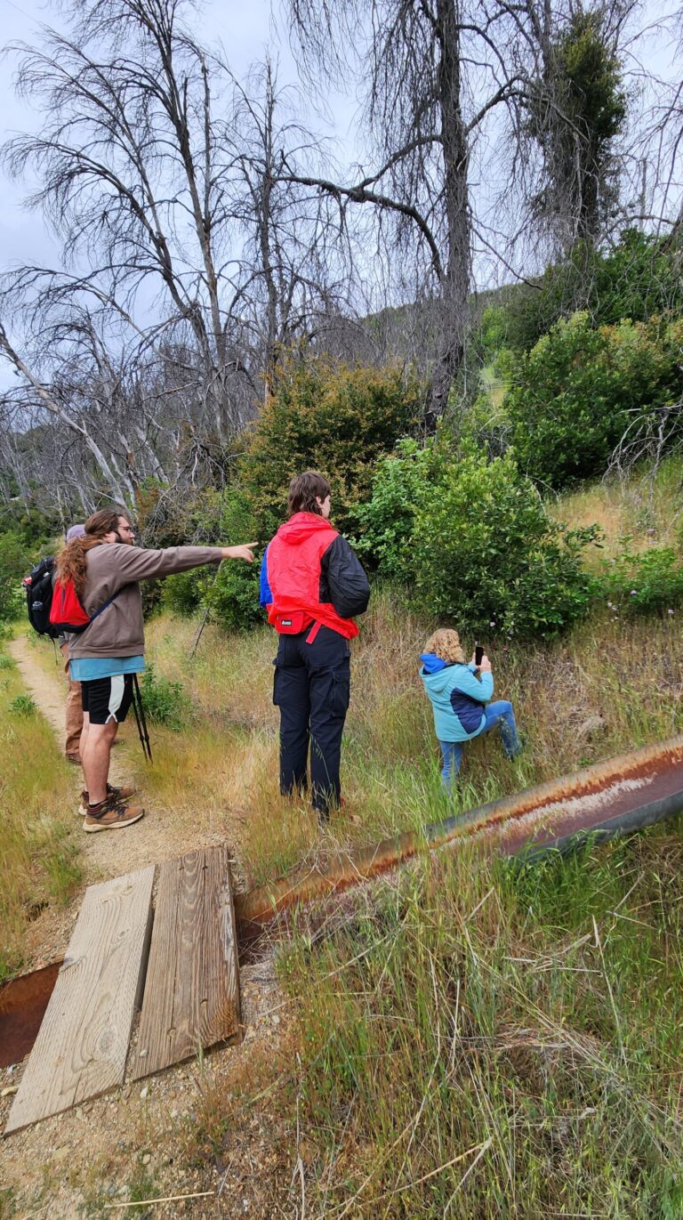Trip Report: City Nature Challenge Bioblitz Walks