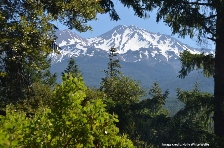 Trip Report: Spring Hill Trail June 2025