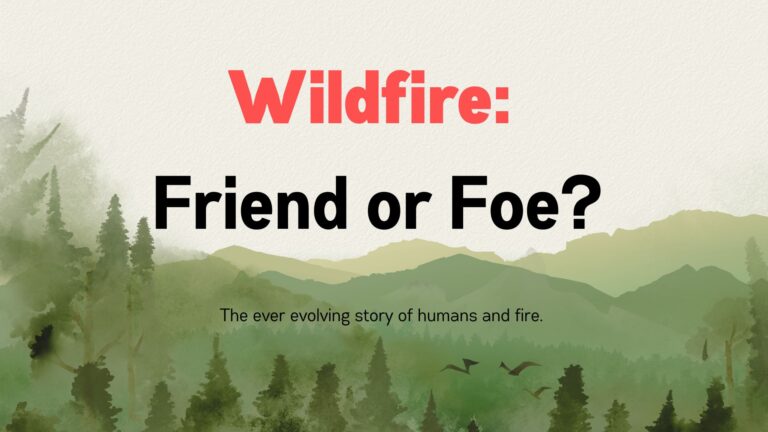 Wildfire: Friend or Foe?