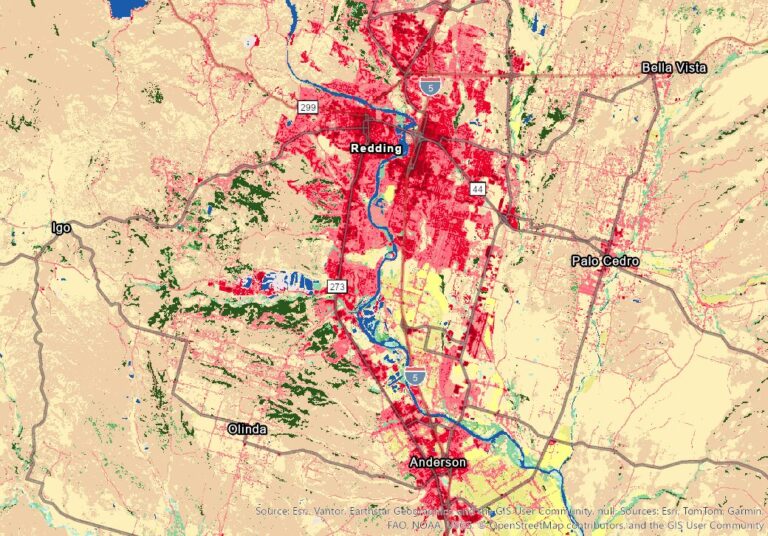 The Urban Heat Island Effect